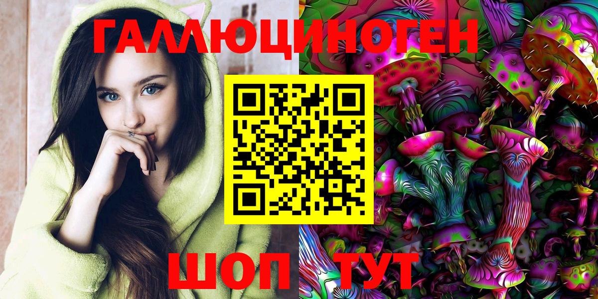 Псилоцибиновые грибы Psilocybe Кубинка