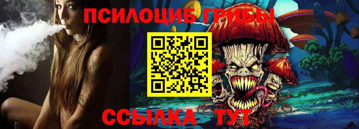Псилоцибиновые грибы GOLDEN TEACHER  купить  сайты  Псилоцибиновые грибы Magic Shrooms  Кубинка  Вход с VPN 